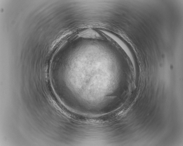 X0000052640585200507221817