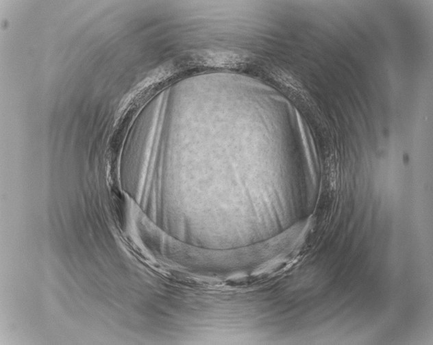 X0000052640587200507221817