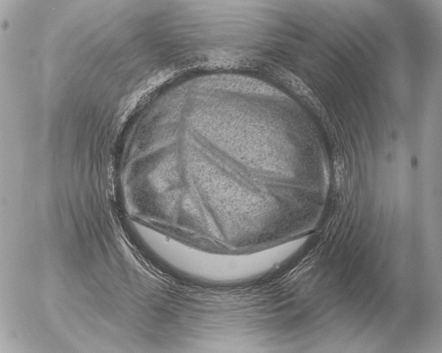 X0000052640588200507221817