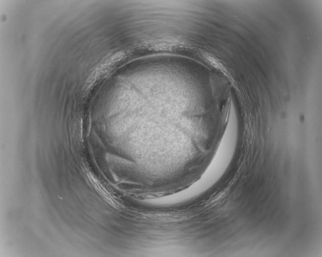 X0000052640589200507221817