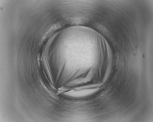 X0000052640590200507221817