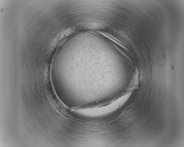 X0000052640591200507221817