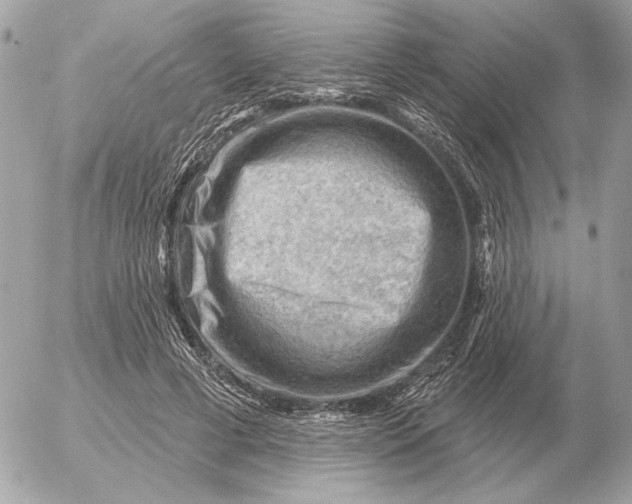 X0000052640593200507221817