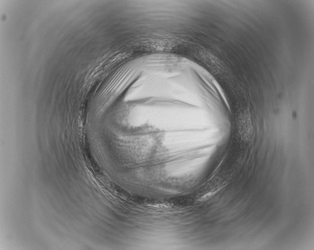 X0000052640594200507221817