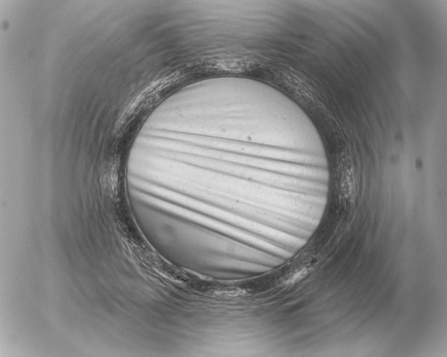 X0000052640595200507221817