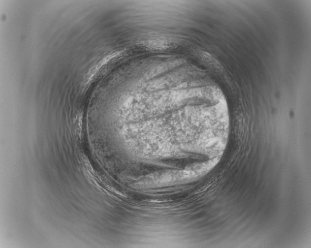 X0000052640596200507221817