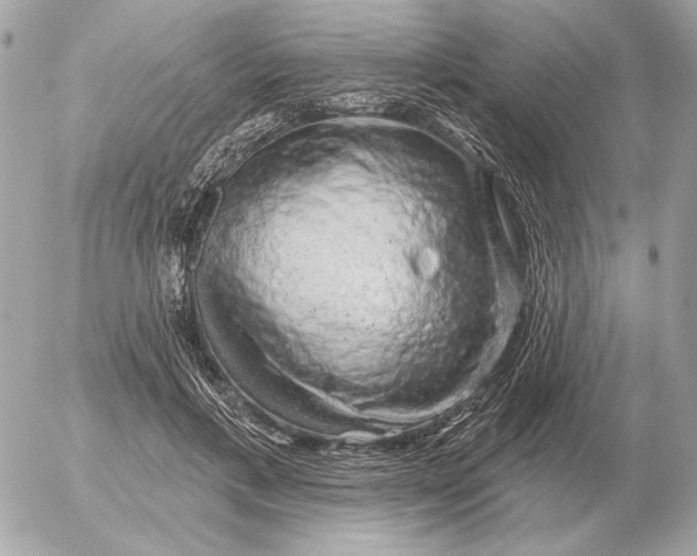 X0000052640597200507221817