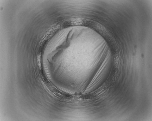 X0000052640598200507221817