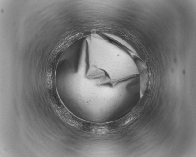 X0000052640599200507221817