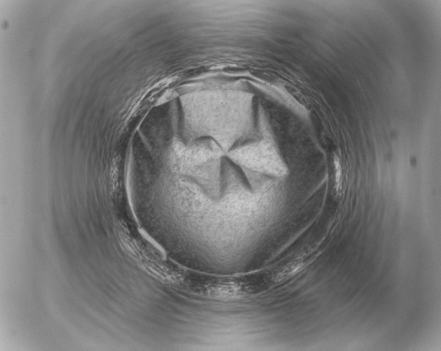 X0000052640600200507221817