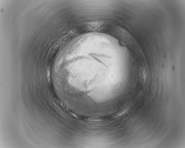 X0000052640602200507221817