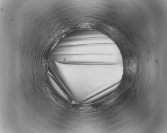 X0000052640603200507221817