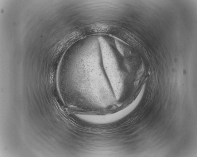 X0000052640604200507221817