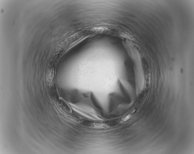 X0000052640605200507221817