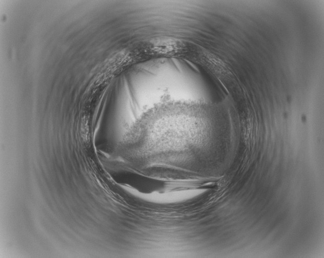 X0000052640606200507221817