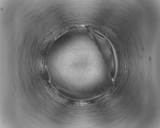 X0000052640607200507221817