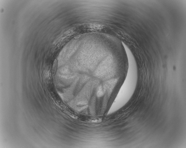 X0000052640608200507221817