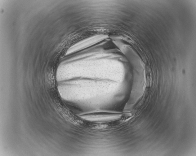 X0000052640609200507221817