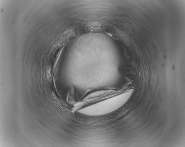 X0000052640610200507221817