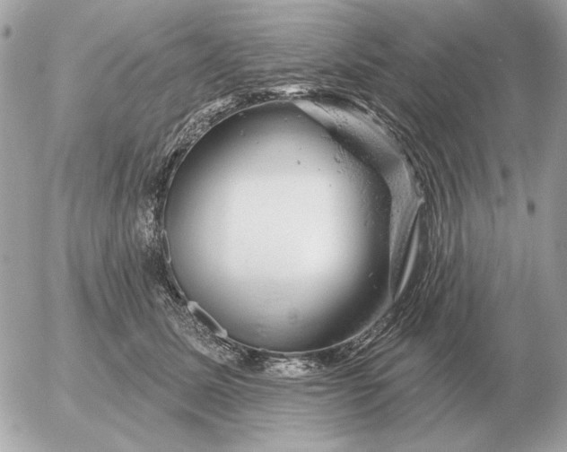 X0000052640611200507221817