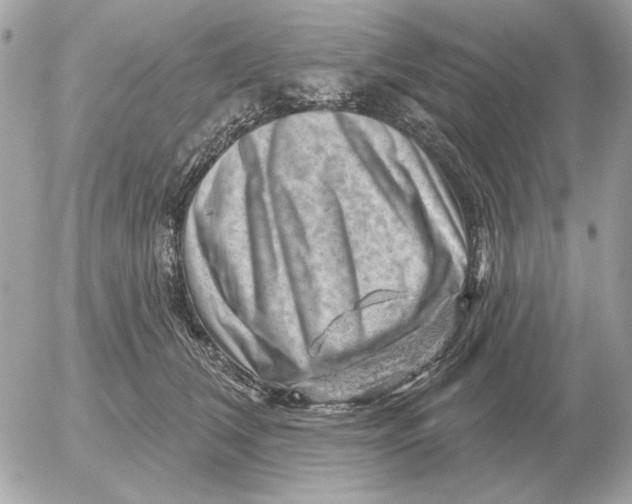 X0000052640612200507221817