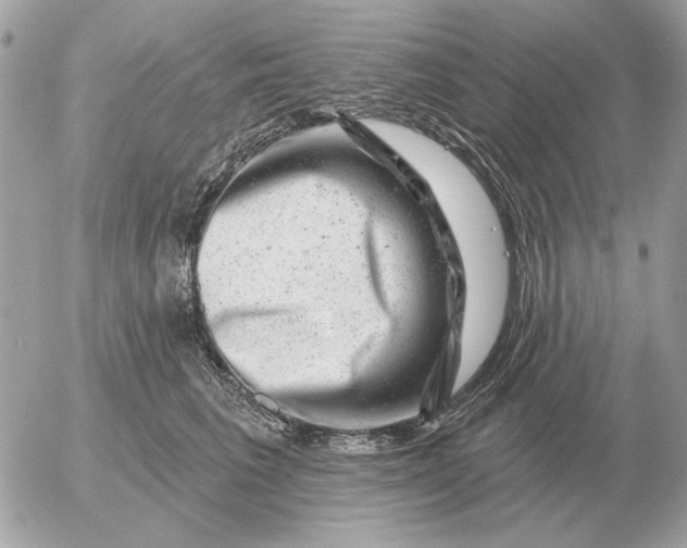 X0000052640613200507221817