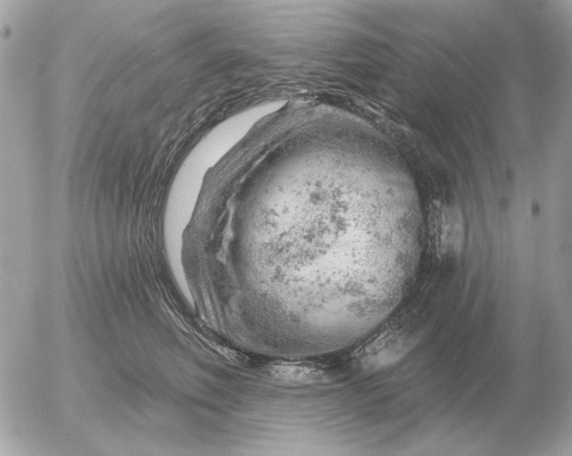 X0000052640614200507221817