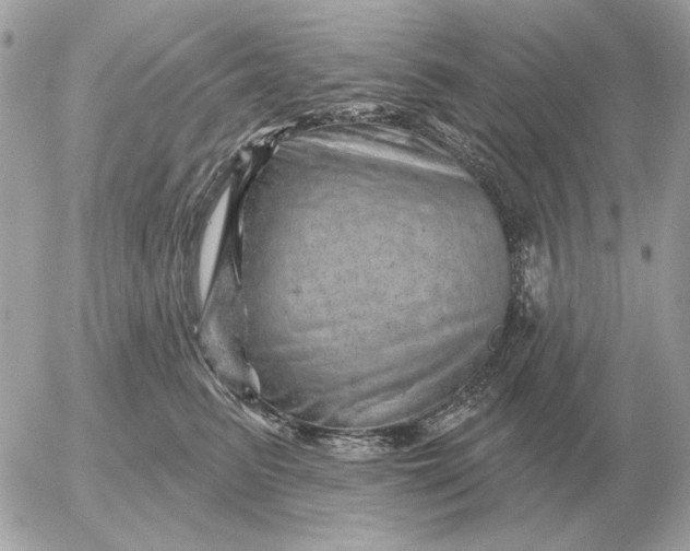 X0000052640615200507221817