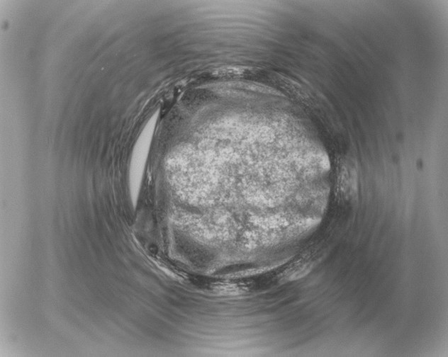 X0000052640616200507221817