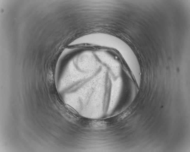 X0000052640617200507221817