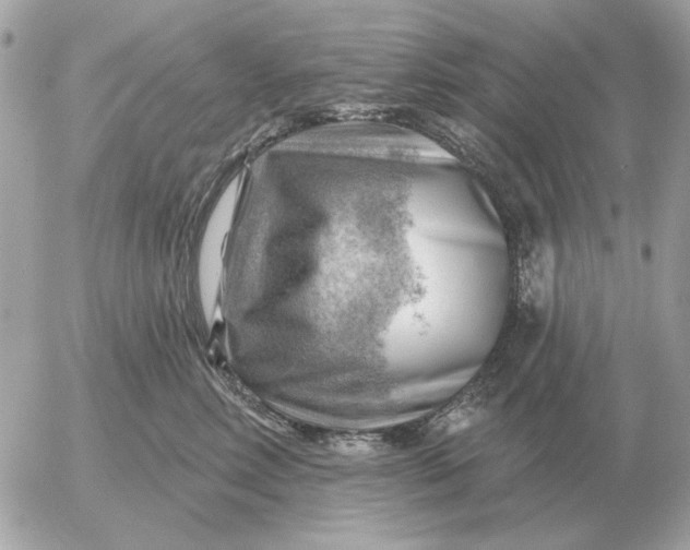 X0000052640618200507221817