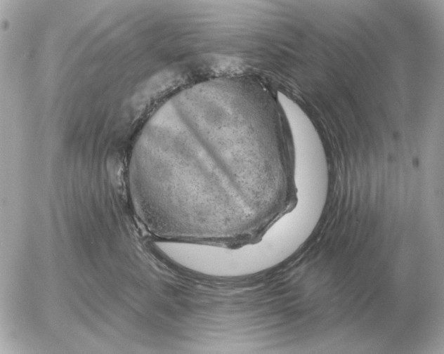 X0000052640619200507221817