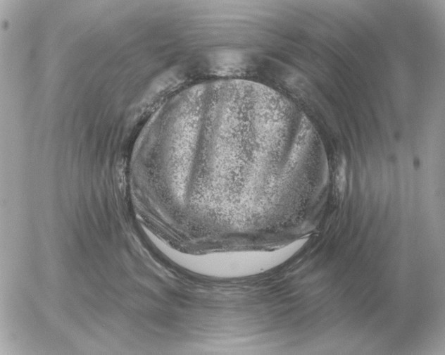 X0000052640620200507221817