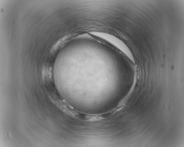 X0000052640621200507221817