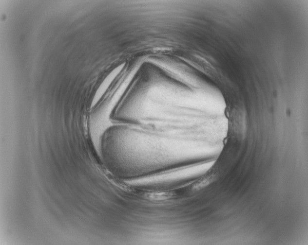 X0000052640622200507221817