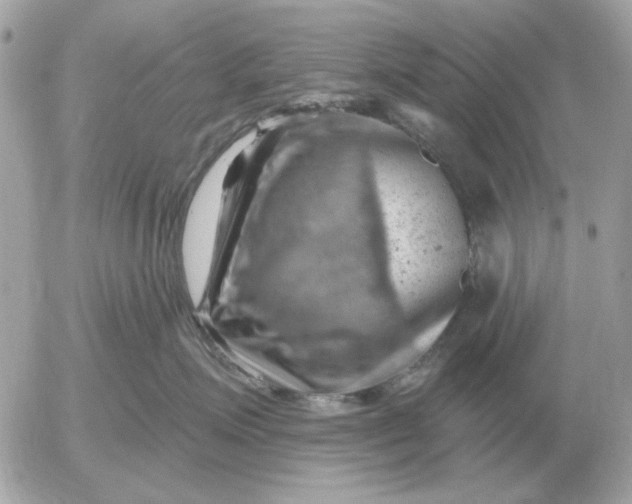 X0000052640623200507221817