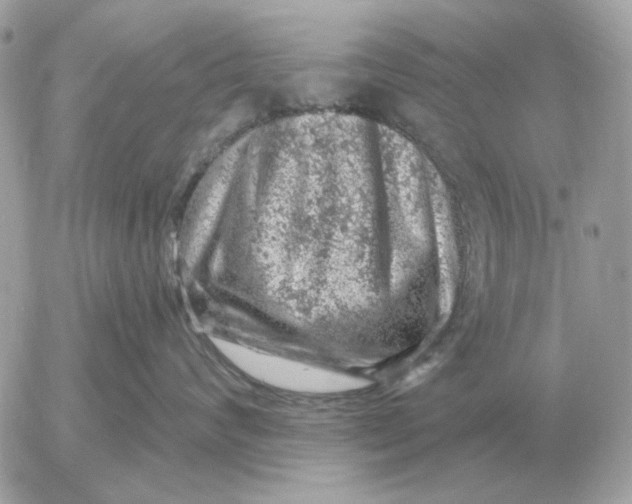 X0000052640624200507221817