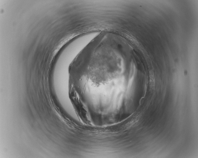 X0000052640626200507221816