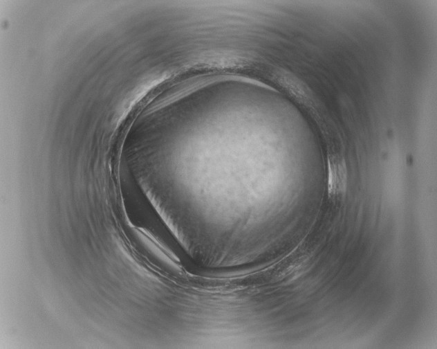 X0000052640627200507221816