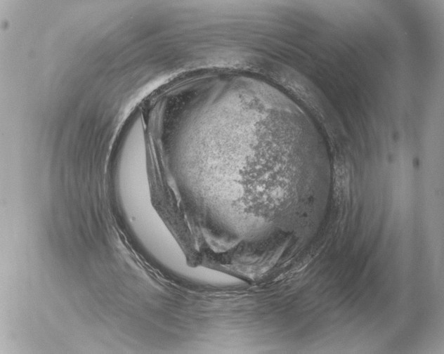 X0000052640628200507221816