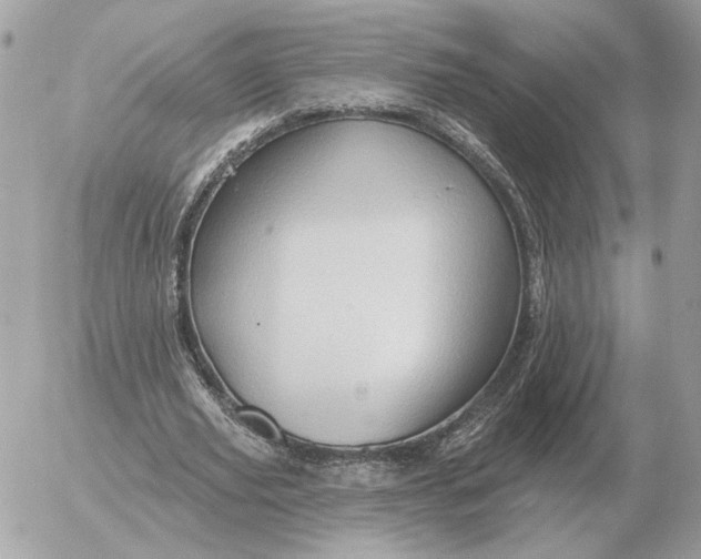 X0000052640629200507221816