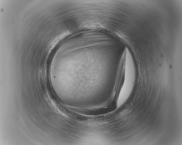 X0000052640630200507221816