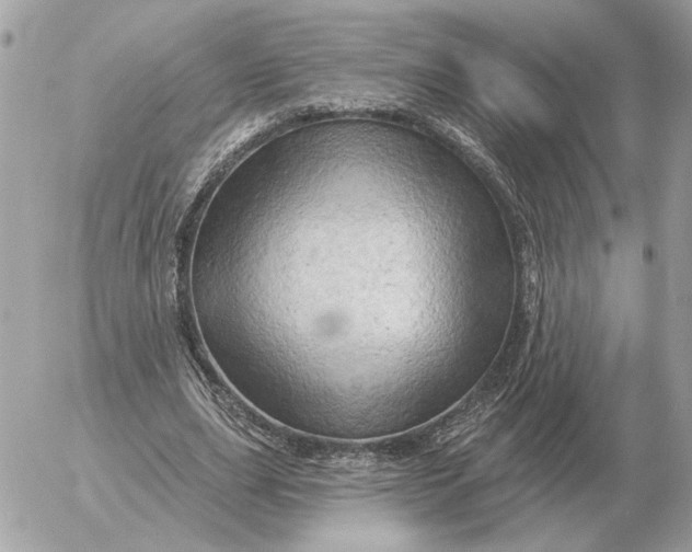 X0000052640631200507221816