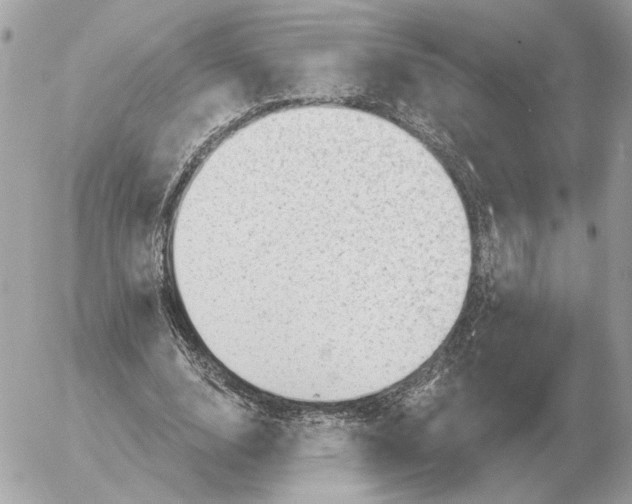 X0000052640632200507221816