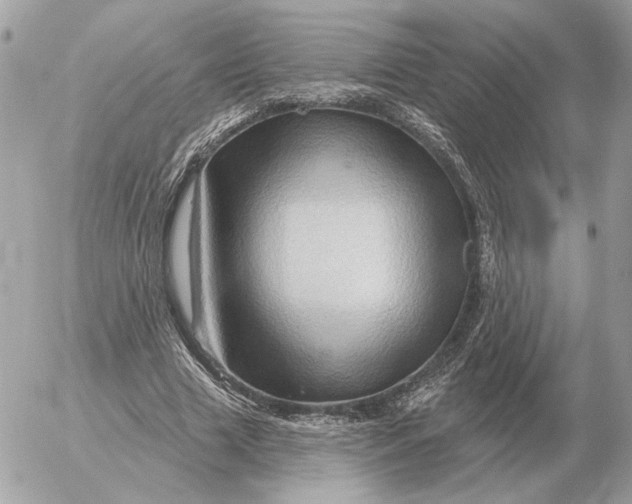 X0000052640633200507221816