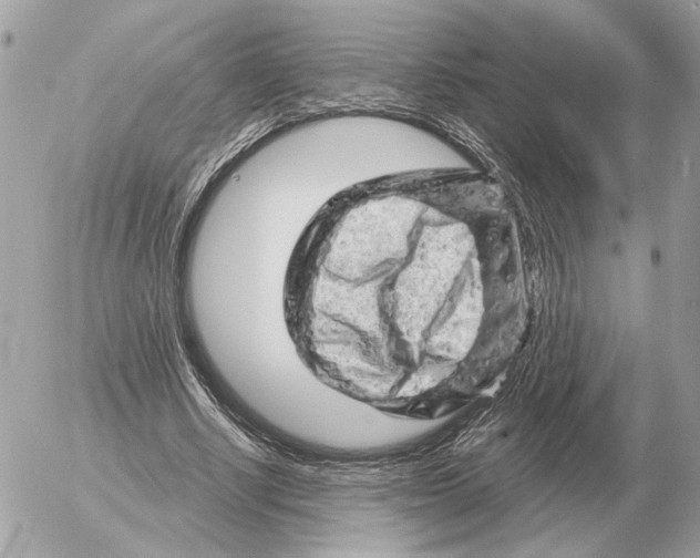 X0000052640634200507221816