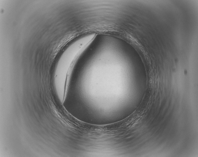 X0000052640635200507221816