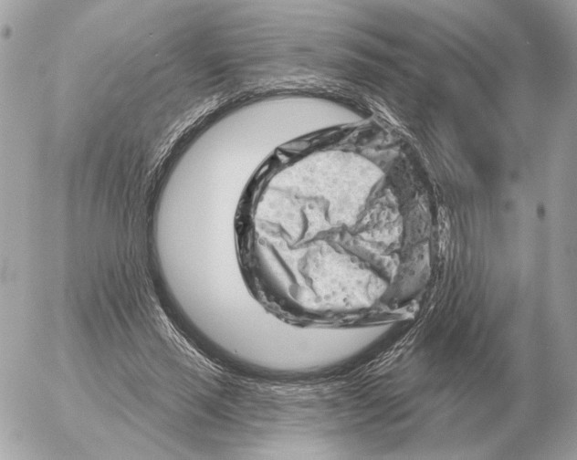 X0000052640637200507221816