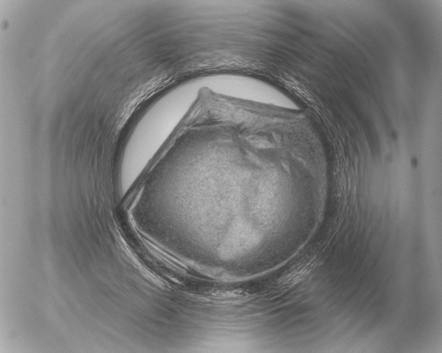 X0000052640638200507221816