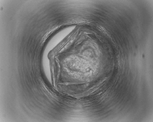 X0000052640640200507221816